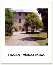 Lucca Stonehouse bed and breakfast and apartments - Lucca countryside