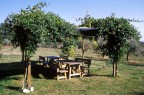 outdoor barbeque areas and places arranged for alfresco eating in the leafy countryside