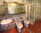 shower batroom