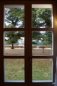 view on the wall from the living room