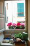 dining room detail