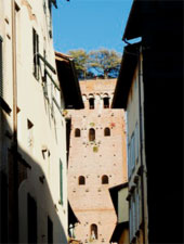 Giglio Apartment - Lucca holiday rental few meters from Guinigi tower