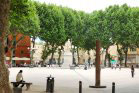 piazza napoleone, lucca