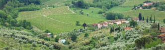 You can reach this winery in Lucca countryside driving, biking or walking (after a short transfer by bus)