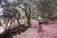 mountain bike tour in Monti Pisani