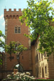 Castle of Bolgheri