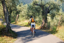 biking in Lucca countryside