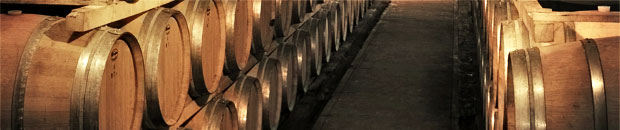 wine tour in Pisa hills