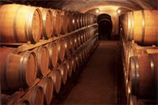 ancient cellar