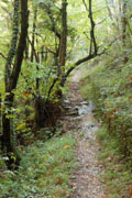 lucca single track