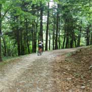 Mountain bike tours on dirt roads