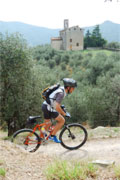 Mountain bike tours on dirt roads