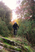 lucca single track