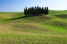 VAL D'ORCIA - TUSCAN COUNTRYSIDE