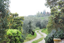 biking in Lucca countryside