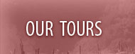 tours in Tuscany, holiday in Lucca, Garfagnana, Versilia, Chianti, bike tours, wine and chocolate tasting...
