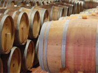 Chianti winery