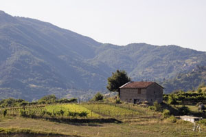 garfagnana landscape