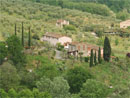 winery in lucca countryside