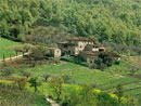 Colle Bereto
