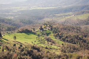 lucca countryside