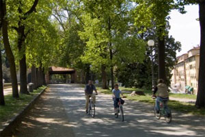 biking Lucca