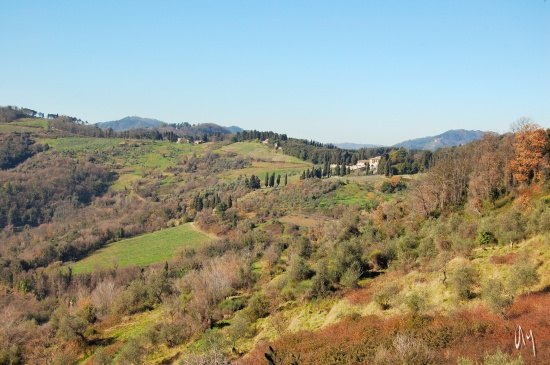 lucca-countryside