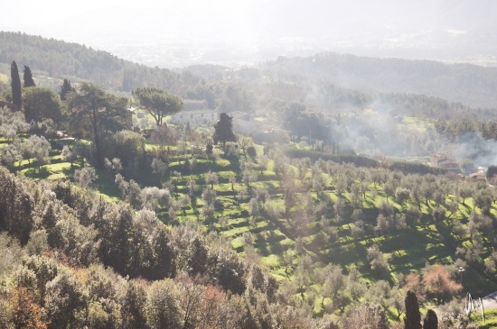 lucca-countryside4