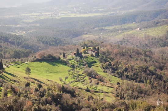 lucca-countryside5