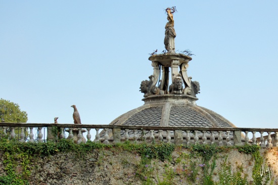 lucca-villas12