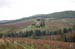 Chianti26