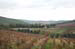 Chianti27