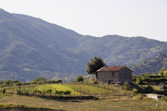 garfagnana1