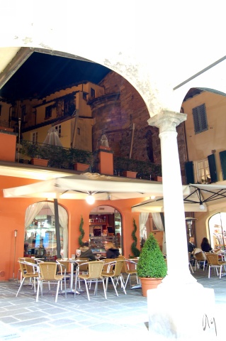 lucca11