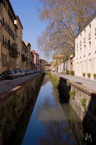 lucca23