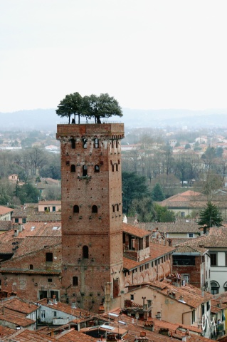 lucca5