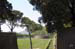 lucca33