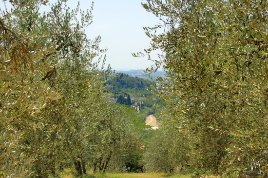 tuscany-countryside1