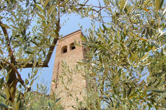 tuscany-countryside2