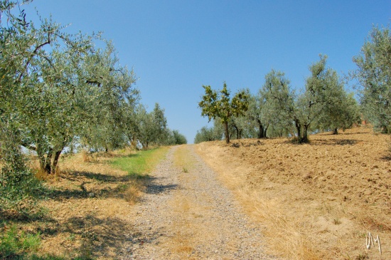 tuscany-countryside9
