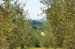 tuscany-countryside1
