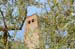 tuscany-countryside2