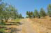 tuscany-countryside9